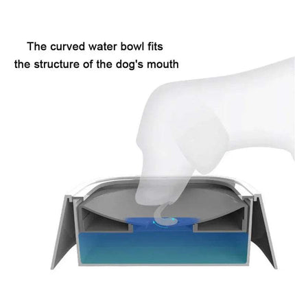Dog drinking from a Pet Floating Bowl with text explaining its design.
