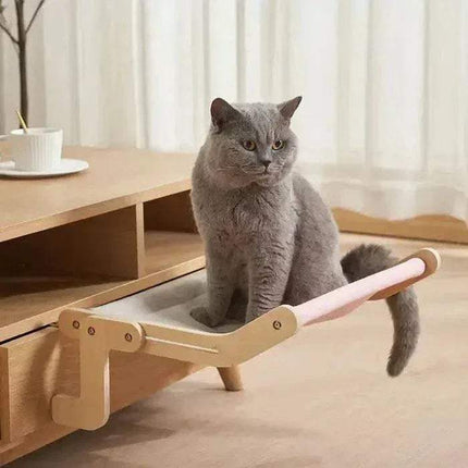 Cat sitting on a brown and pink Sturdy Hanging Cat Bed in a room with a table and window.